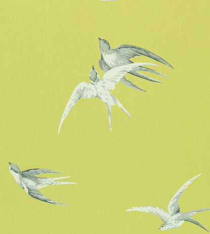 Swallows Wallpaper by Sanderson Lime