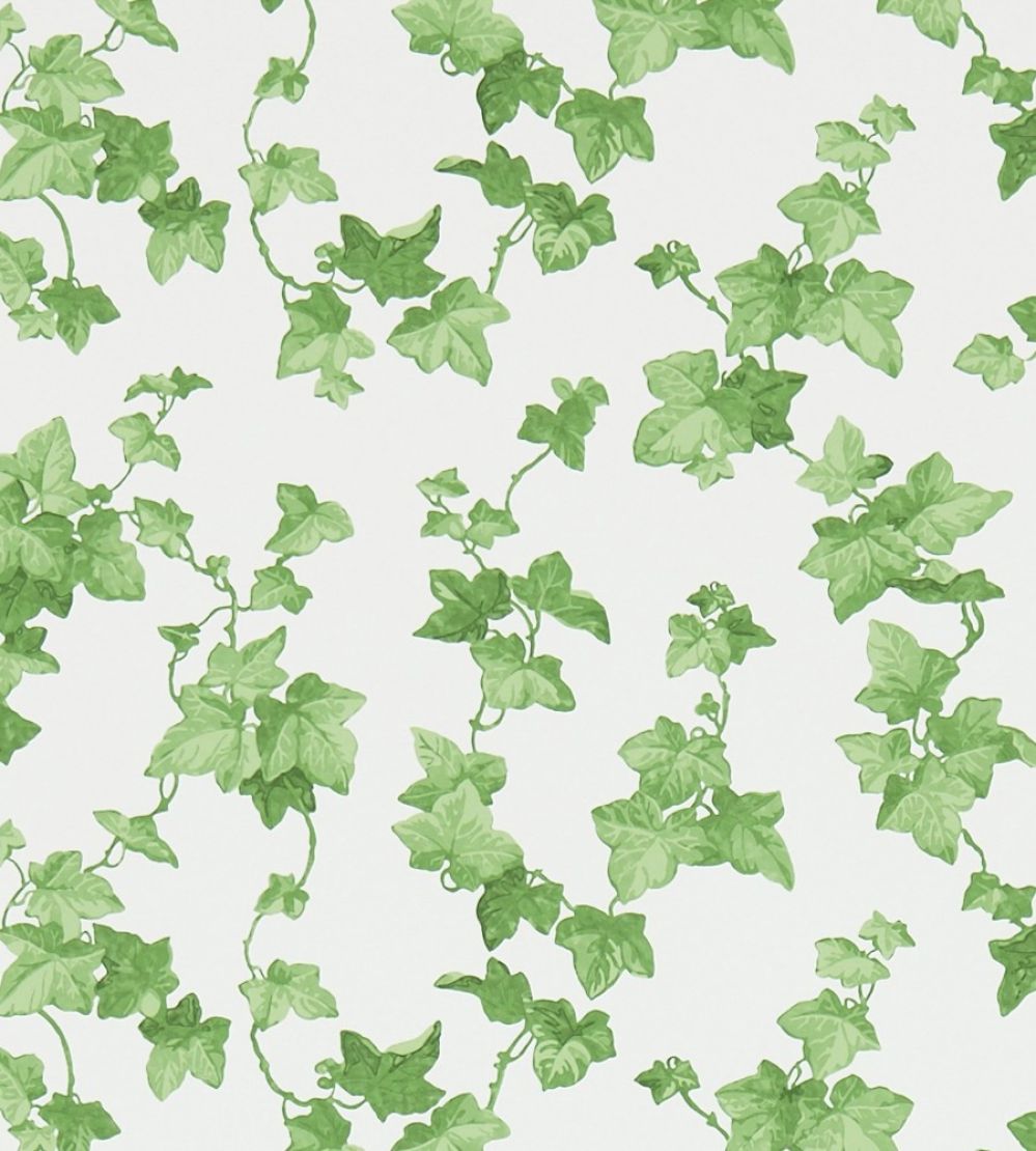 Hedera Wallpaper by Sanderson Green