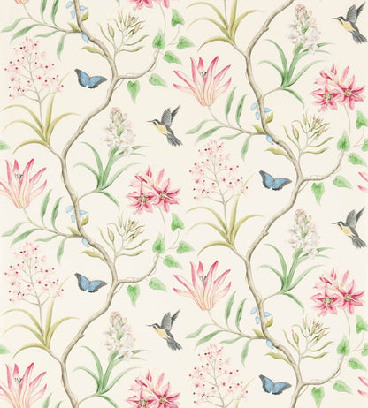 Clementine Wallpaper by Sanderson Chintz