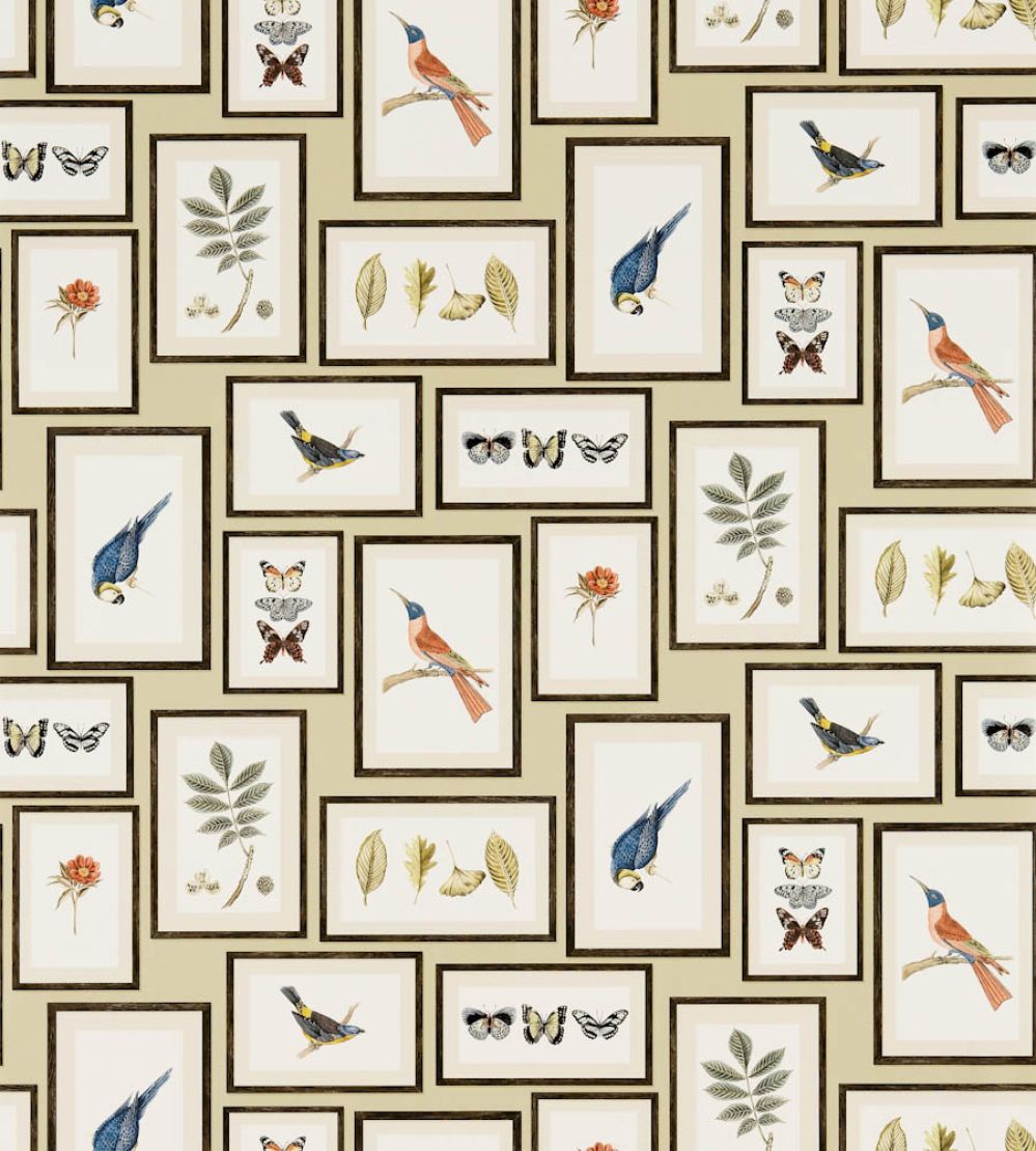 Picture Gallery Wallpaper by Sanderson Sand/Multi