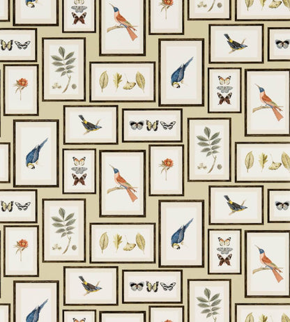Picture Gallery Wallpaper by Sanderson Sand/Multi