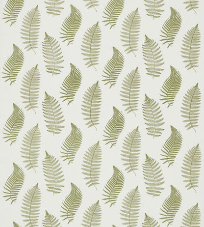 Fern Embroidery Fabric by Sanderson Moss