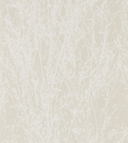 Meadow Canvas Wallpaper by Sanderson White/Parchment