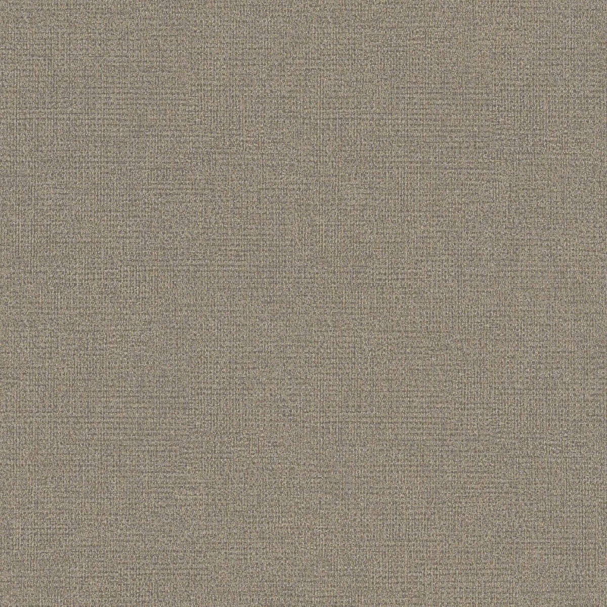 Sastre wallpaper by Coordonné in 28, flat pattern view