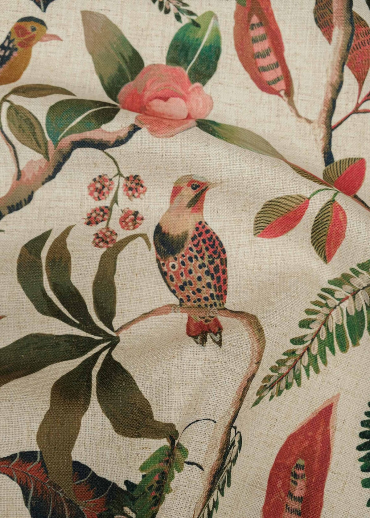 Sauvage fabric by Coordonné in Rose, flat pattern view