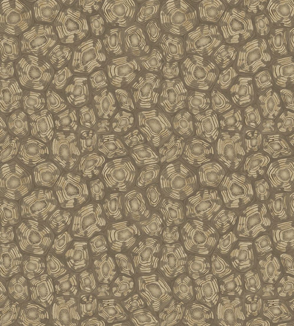 Savanna Shell Wallpaper by Cole & Son Metallic Gilver Cedar & Metallic Gold