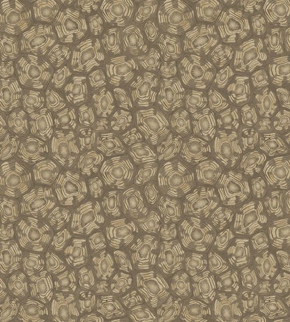 Savanna Shell Wallpaper by Cole & Son Metallic Gilver Cedar & Metallic Gold