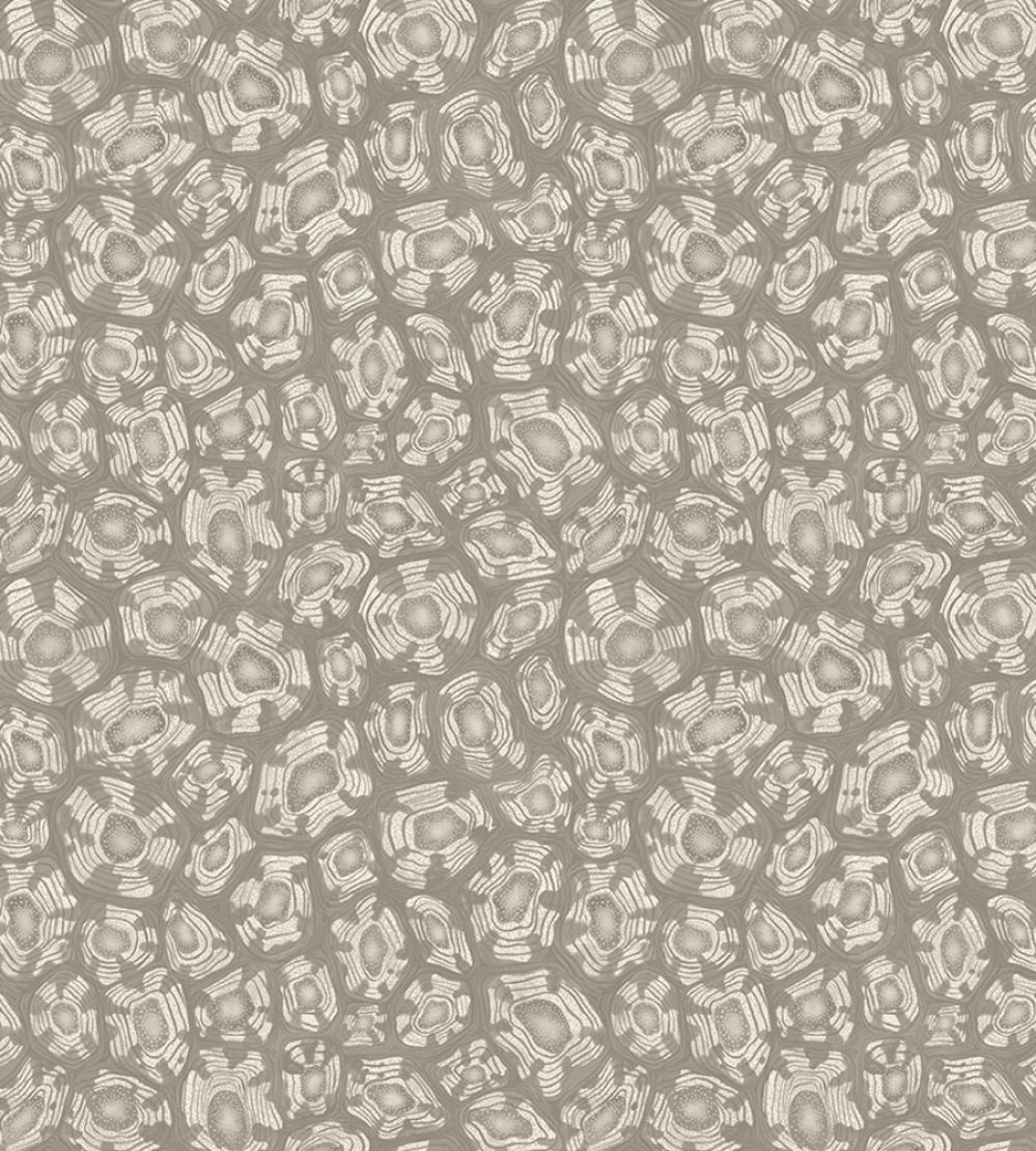Savanna Shell Wallpaper by Cole & Son Shell Mica Taupe & Matallic Gilver