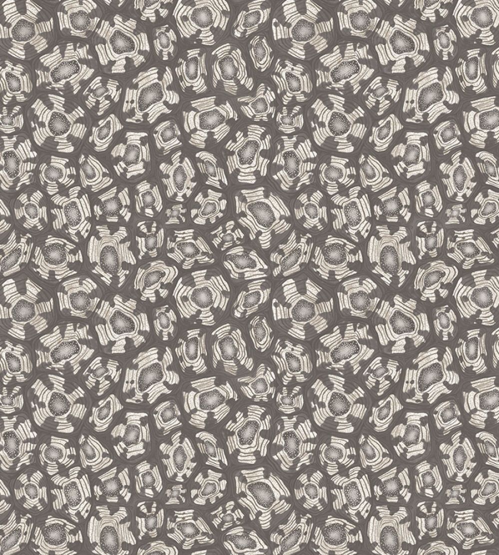 Savanna Shell Wallpaper by Cole & Son Soot  Snow & Metallic Silver