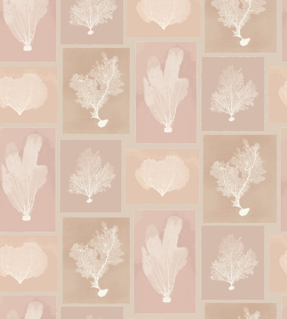 Sea Fans Wallpaper by DADO 02 Blush