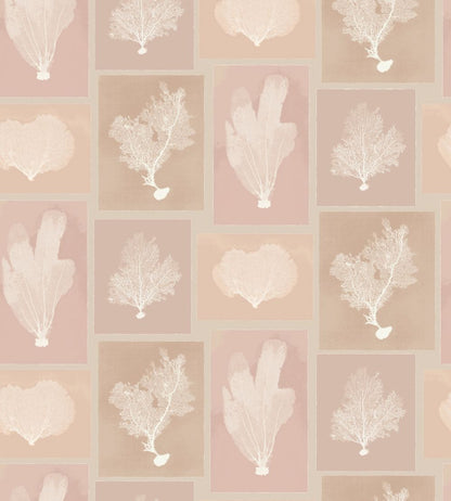 Sea Fans Wallpaper by DADO 02 Blush