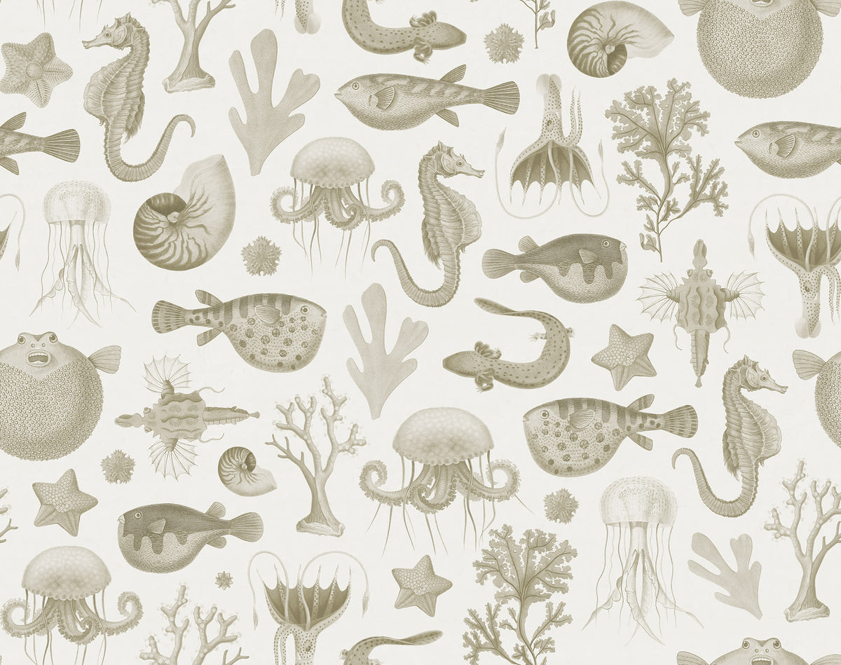 Sea Life Sand mural by Rebel Walls