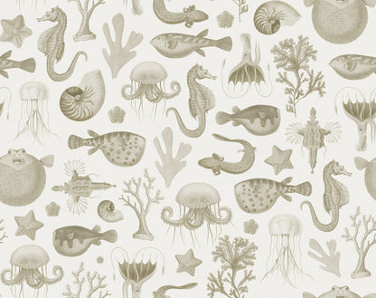 Sea Life Sand mural by Rebel Walls