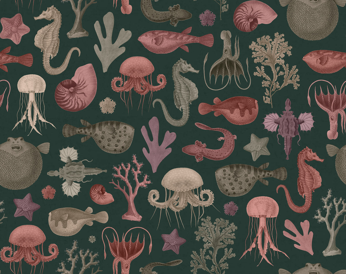 Sea Life Ocean mural by Rebel Walls