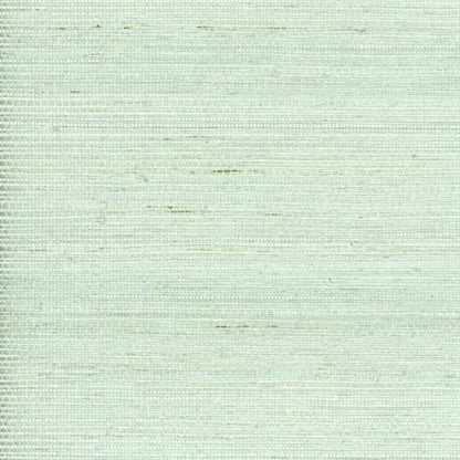 TRH51000 Wallpaper