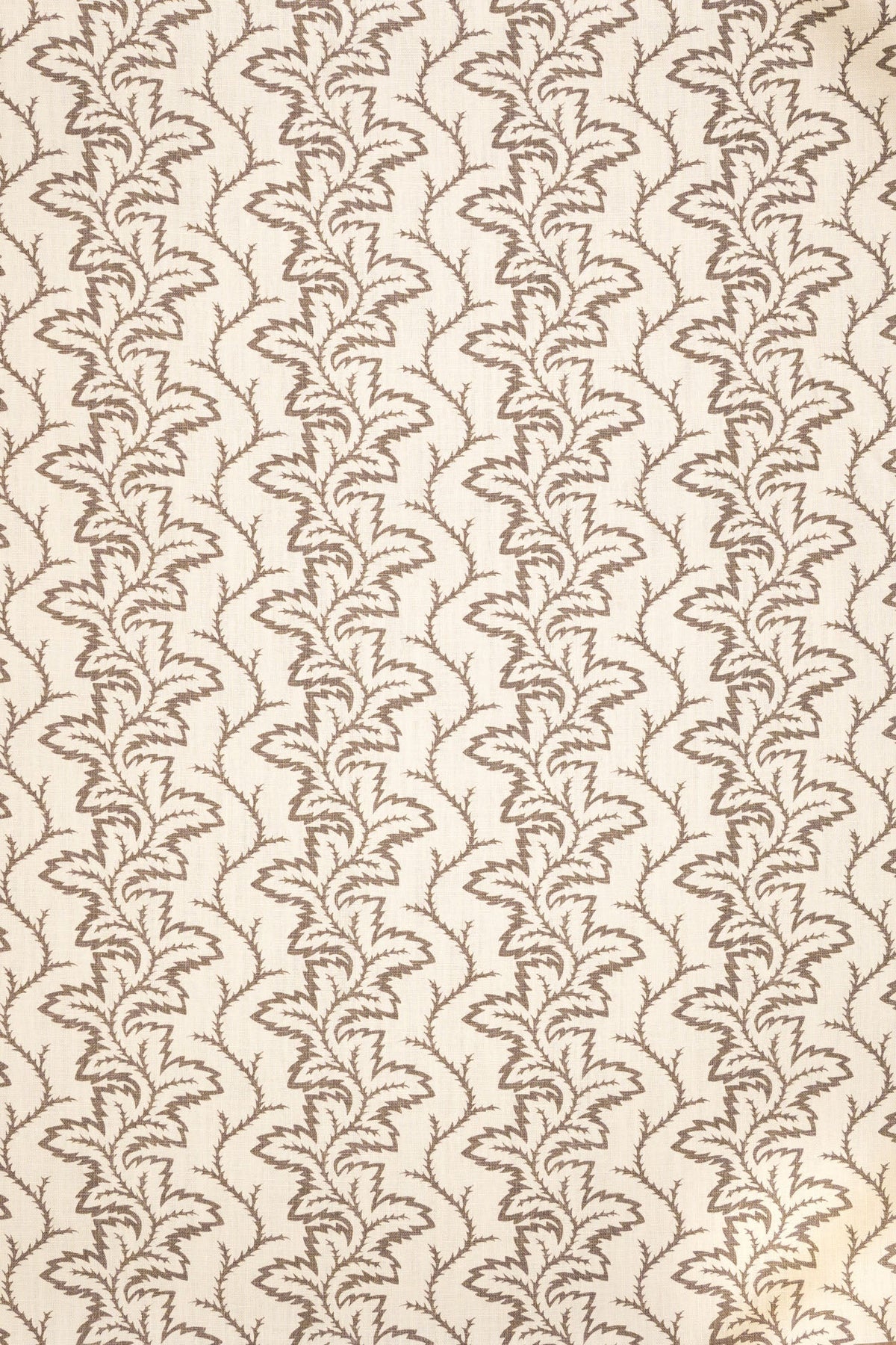 Seafern Fabric by Jean Monro in Thatched Roof Taupe