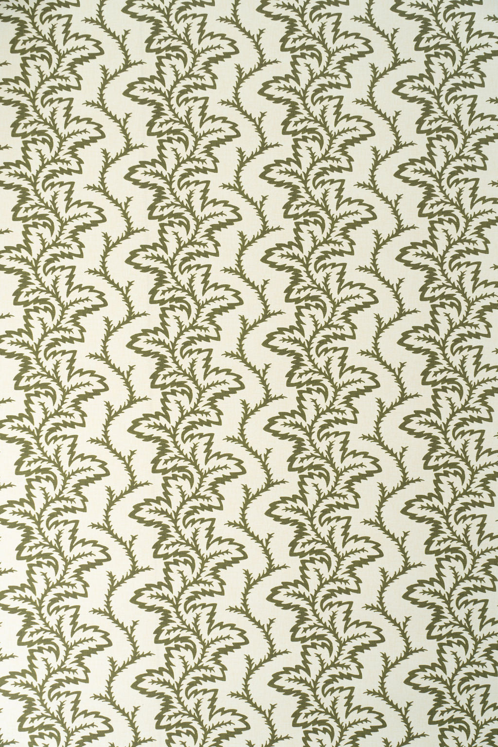 Seafern Wallpaper by Jean Monro in Green Olive