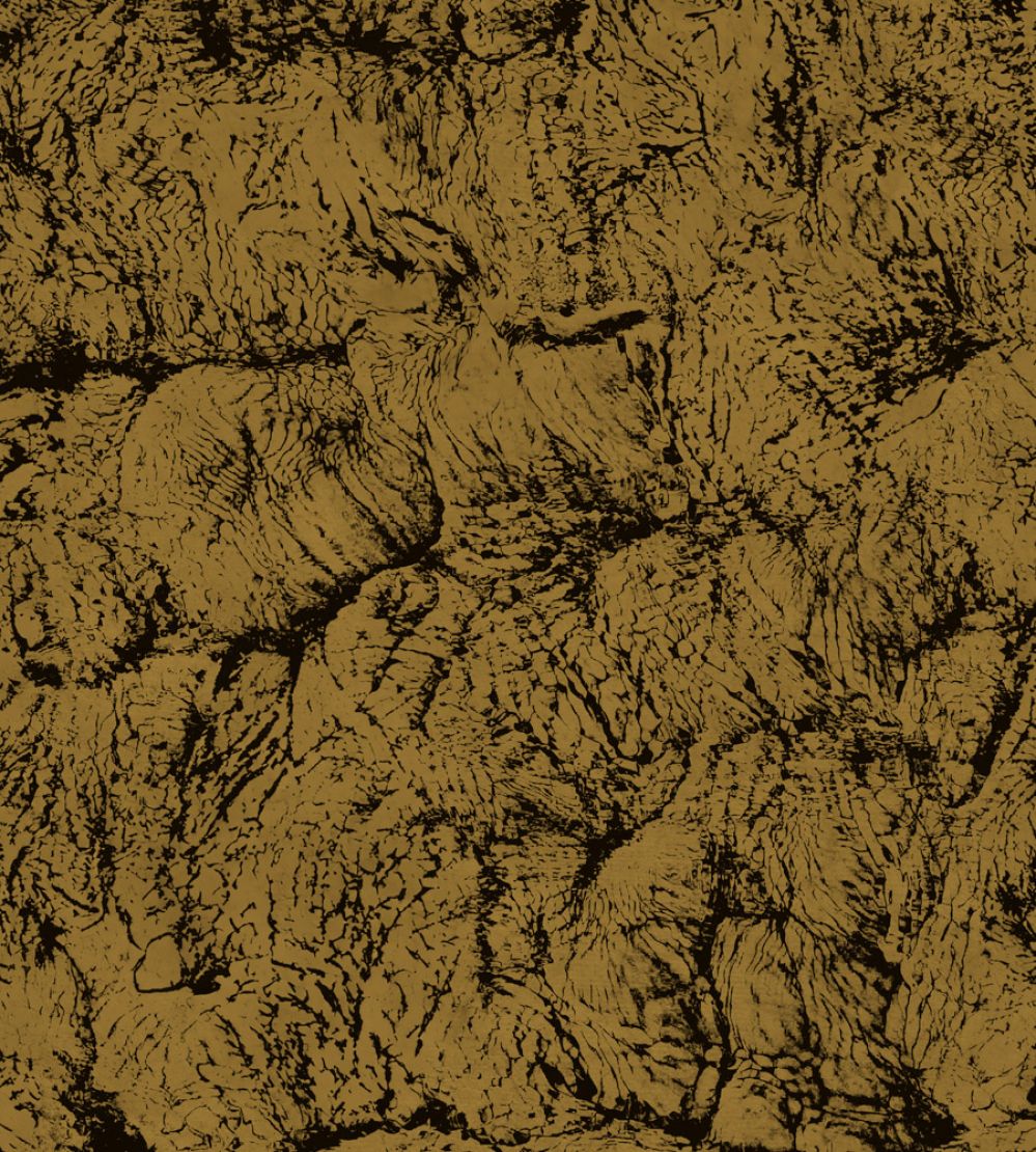 Sepia Wallpaper by Coordonne Gold