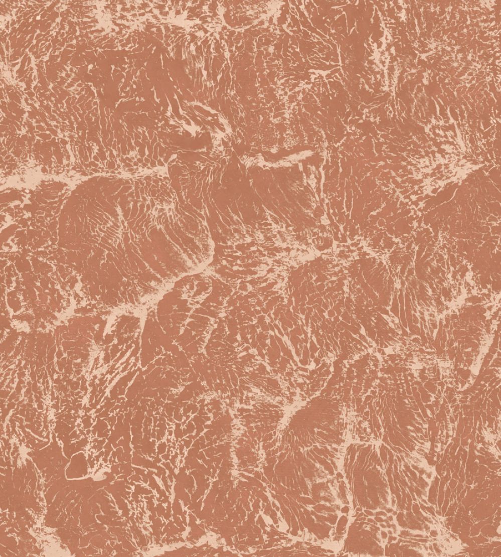 Sepia Wallpaper by Coordonne Rose