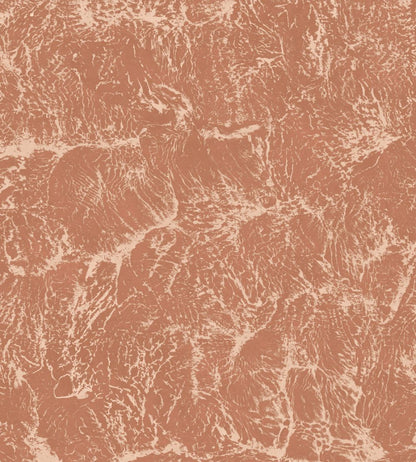 Sepia Wallpaper by Coordonne Rose