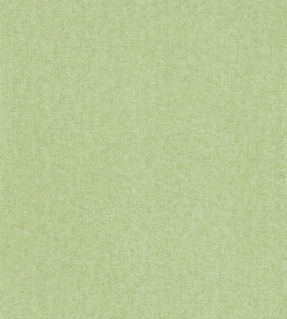 Sessile Plain Wallpaper by Sanderson Moss Green