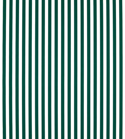 Sicily Outdoor Fabric by Clarke & Clarke Forest