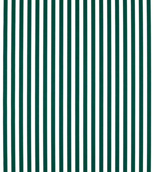 Sicily Outdoor Fabric by Clarke & Clarke Forest