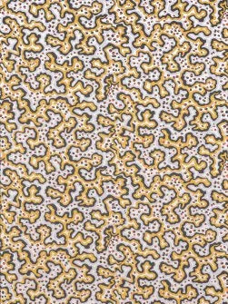 Sinularia Wallpaper by Pierre Frey in Argile (FP251001)