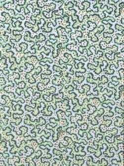 Sinularia Wallpaper by Pierre Frey in Eau (FP251002)