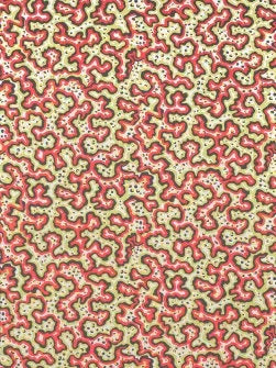 Sinularia Wallpaper by Pierre Frey in Feu (FP251003)