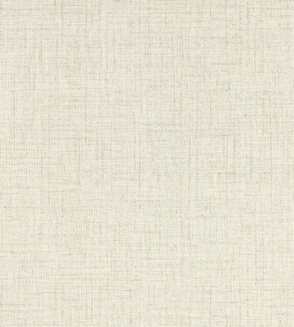 Sirpo Wallpaper by Clarke & Clarke Ash