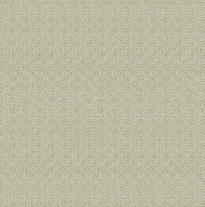 Sisal wallpaper by Coordonné in Silvestre/Verde Claro, flat pattern view