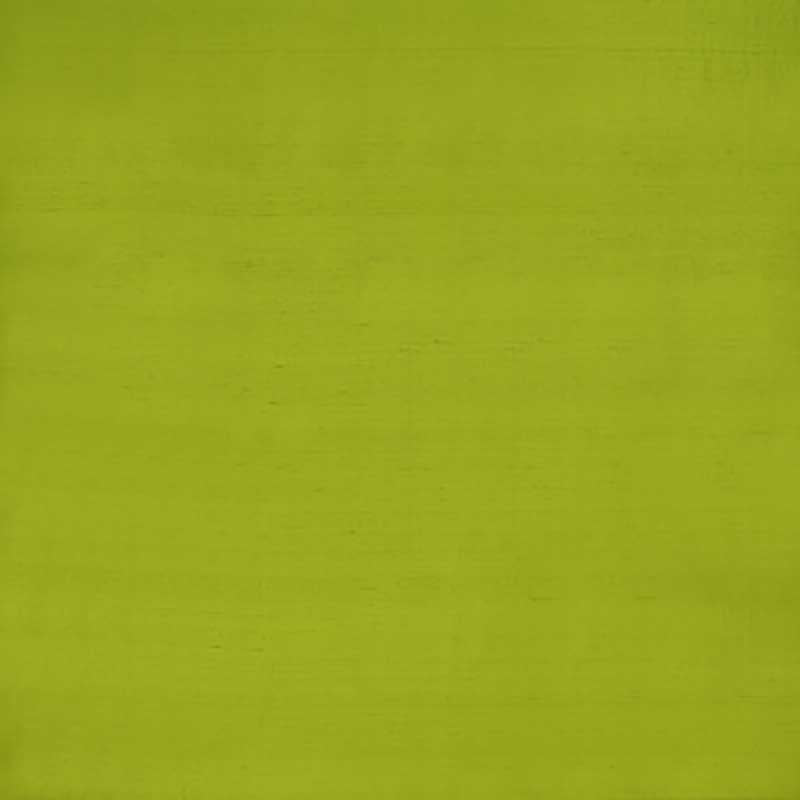 Slyph Lime fabric by Clarke & Clarke