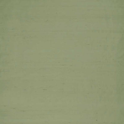 Slyph Pistachio fabric by Clarke & Clarke