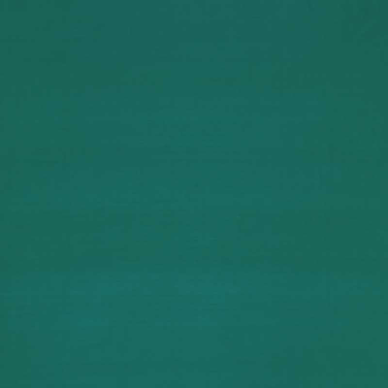 Slyph Tropic fabric by Clarke & Clarke
