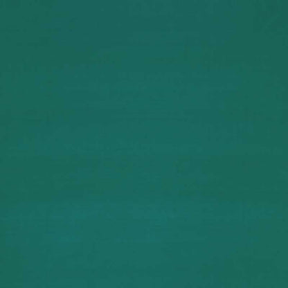 Slyph Tropic fabric by Clarke & Clarke