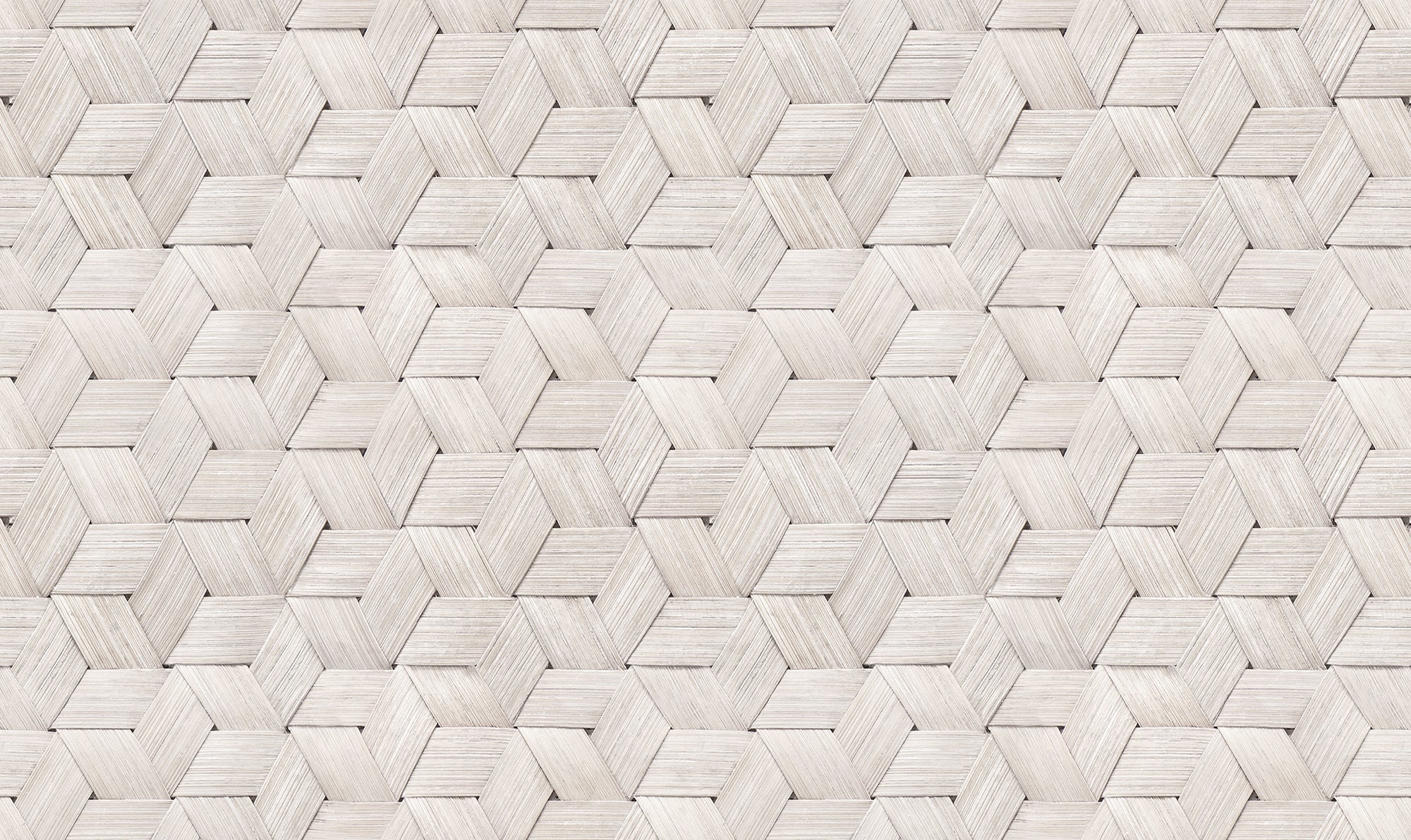 Small Birch Bark Braids Wallpaper | Rebel Walls – The ReBorn House