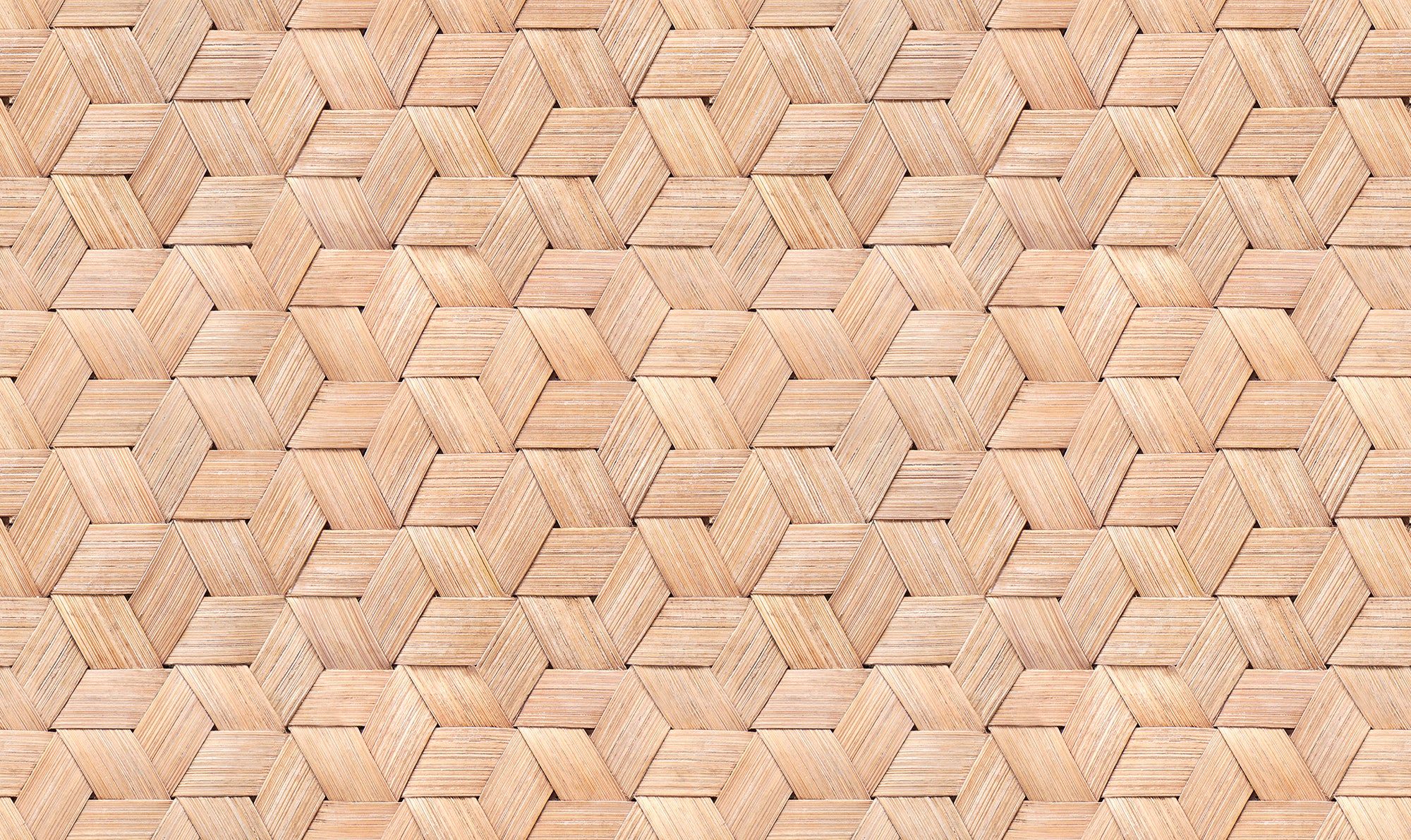 Small Birch Bark Braids Wallpaper | Rebel Walls – The ReBorn House