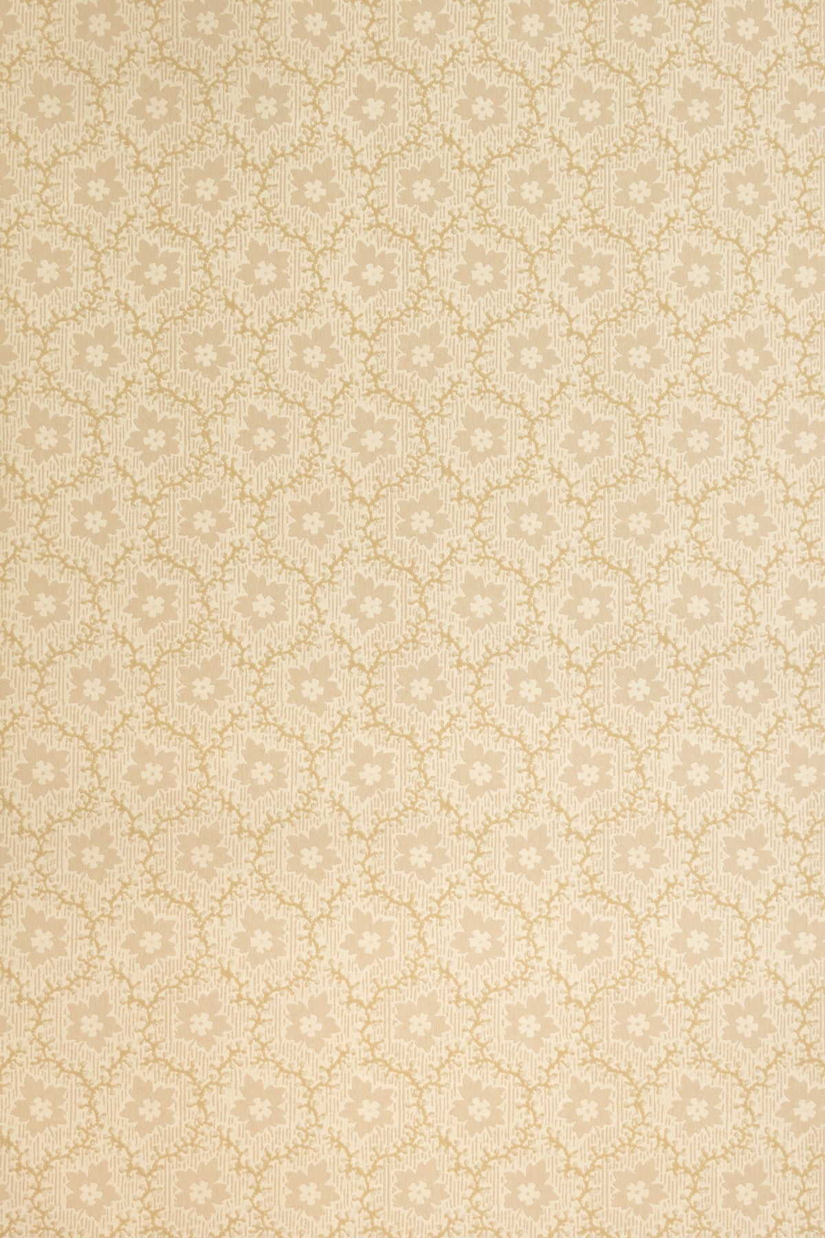 Soapberry Wallpaper by Jean Monro in Pebble