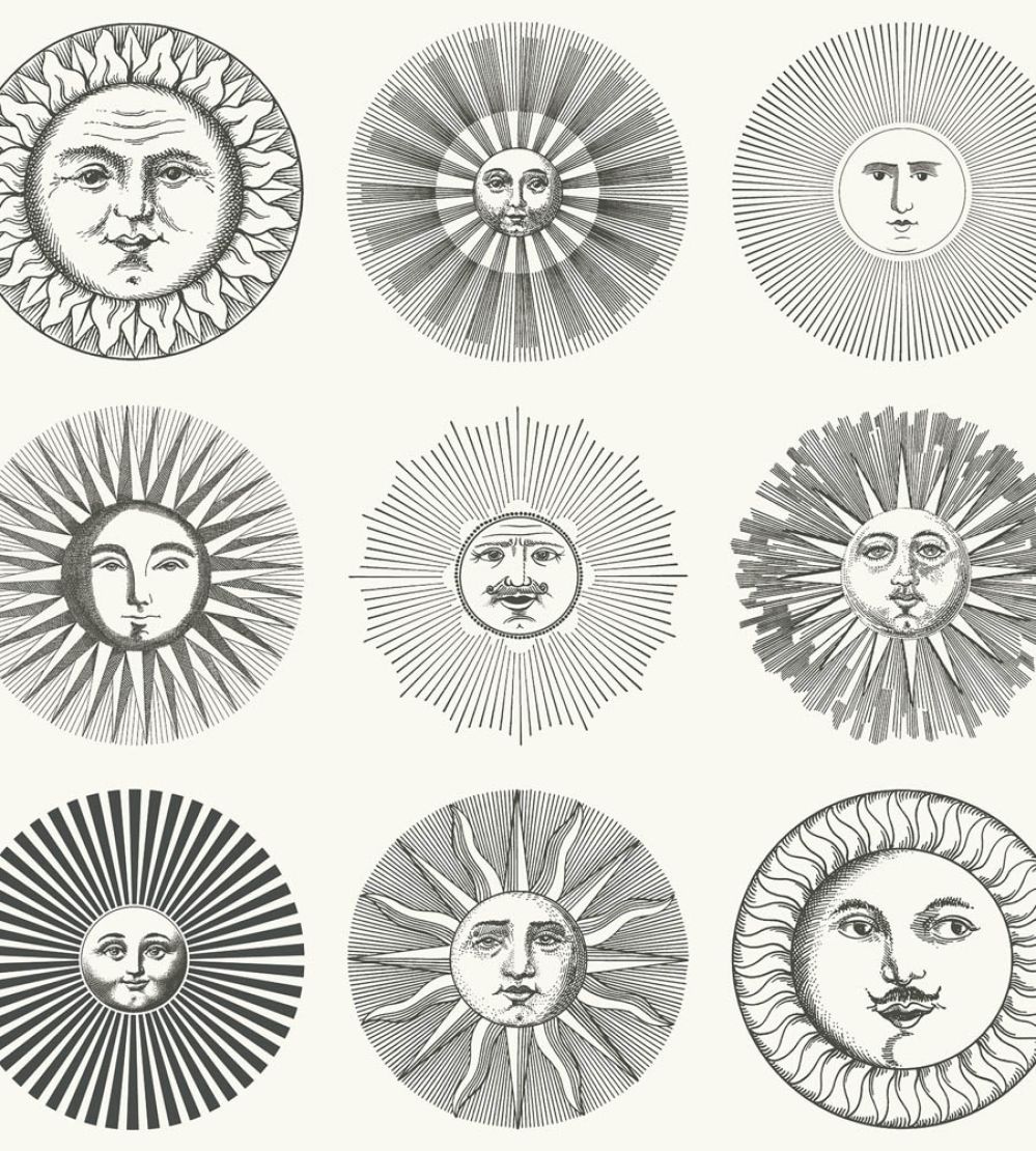 Soli Wallpaper by Cole & Son Black & White