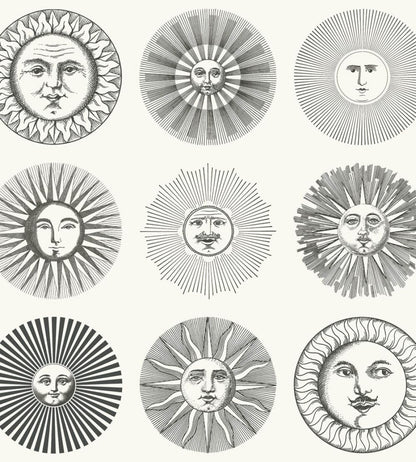 Soli Wallpaper by Cole & Son Black & White