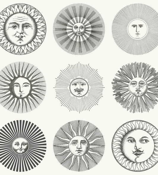 Soli Wallpaper by Cole & Son Black & White
