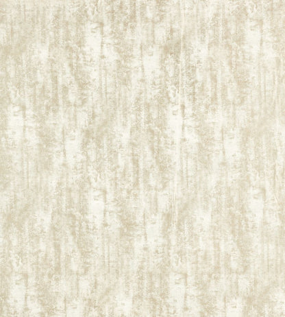 Sontuoso Fabric by Clarke & Clarke Ivory