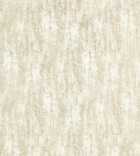Sontuoso Fabric by Clarke & Clarke Ivory