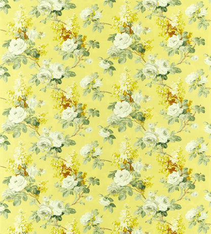Sorilla Fabric by Sanderson Mimosa