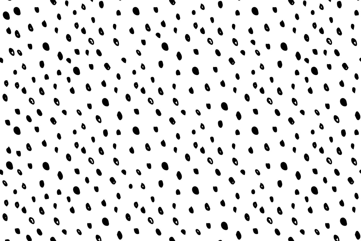 Speckle Black & White mural by Hovia