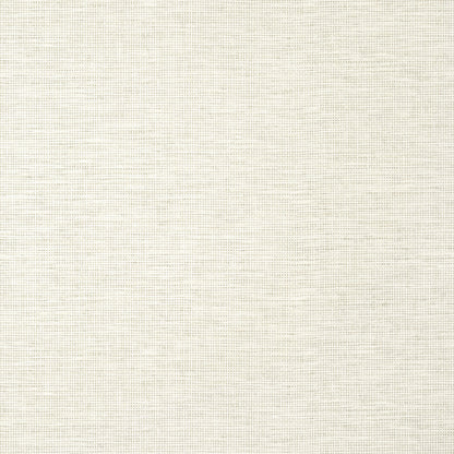 Spiro Wallpaper by Thibaut in Off White (T14561)
