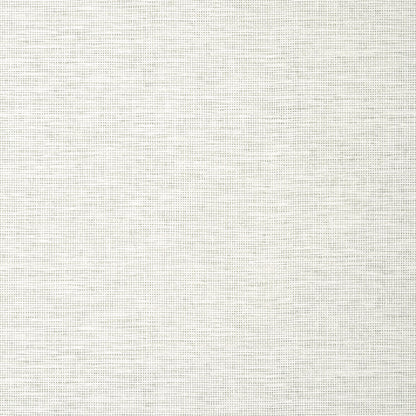 Spiro Wallpaper by Thibaut in Grey (T14562)