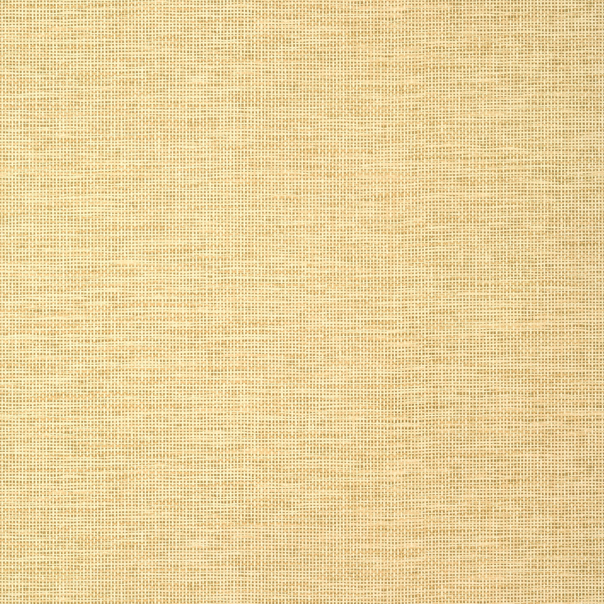 Spiro Wallpaper by Thibaut in Straw (T14564)