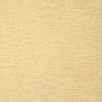 Spiro Wallpaper by Thibaut in Straw (T14564)
